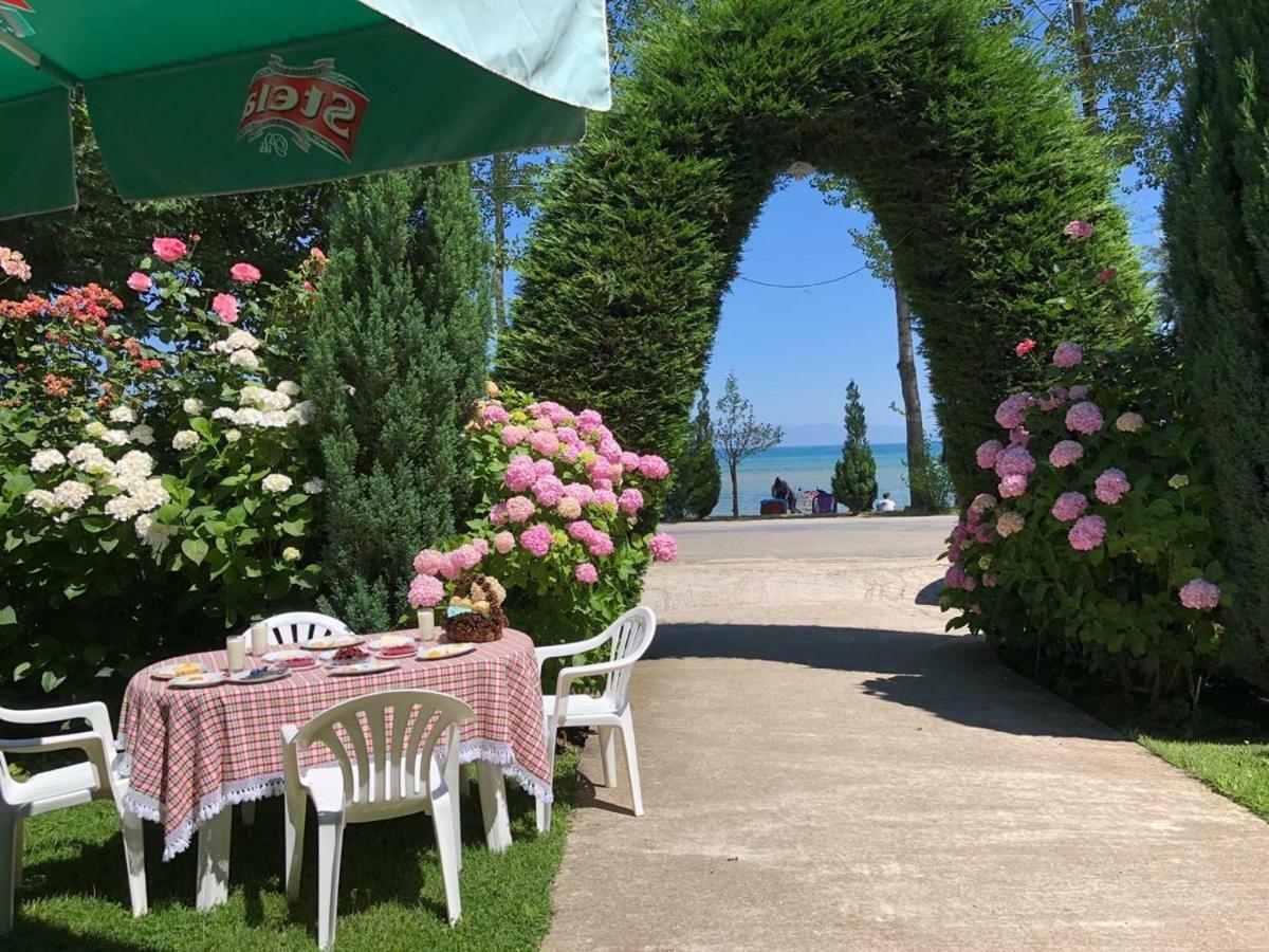 Vila Deni Tushemisht Екстериор снимка