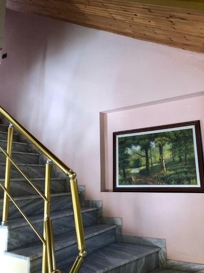 Vila Deni Tushemisht Екстериор снимка